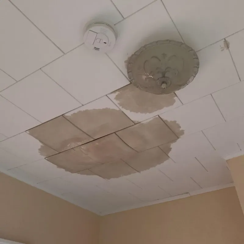 Ceiling Water Damage Repair in Spring Park, MN